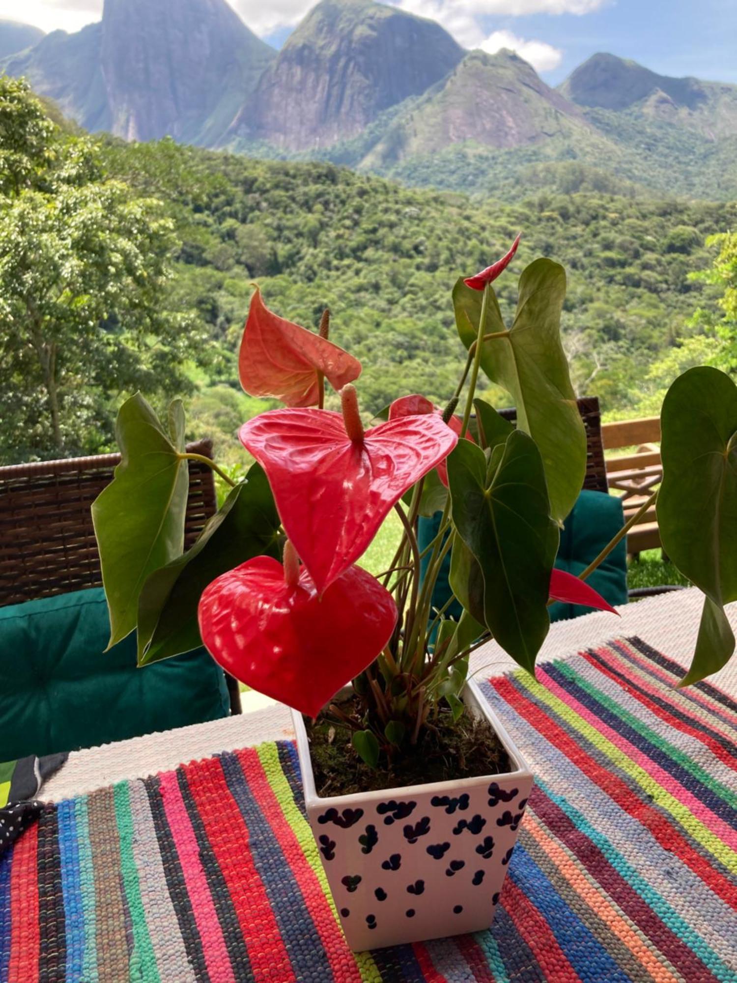 A Cabana Mais Bucolica De Araras Petrópolis Εξωτερικό φωτογραφία